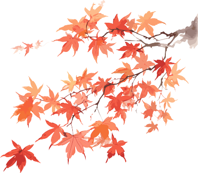 日式风格枫叶水彩插画素材
