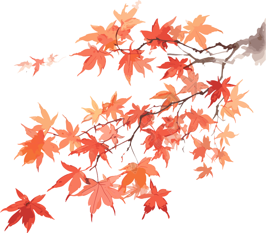 日式风格枫叶水彩插画素材