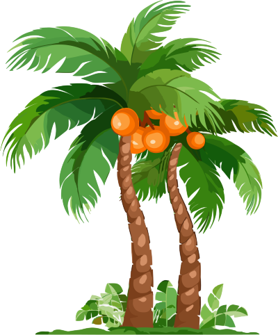 卡通热带植物棕榈树PNG素材