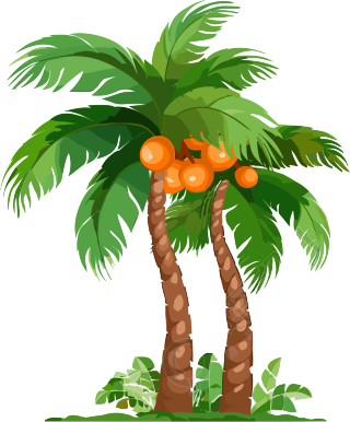卡通热带植物棕榈树PNG素材