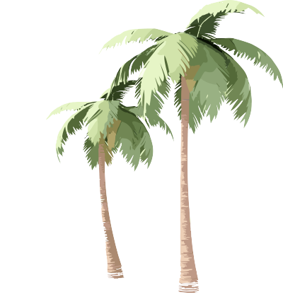 透明背景手绘棕榈树3D插画素材