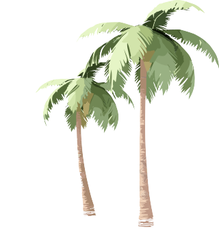 透明背景手绘棕榈树3D插画素材