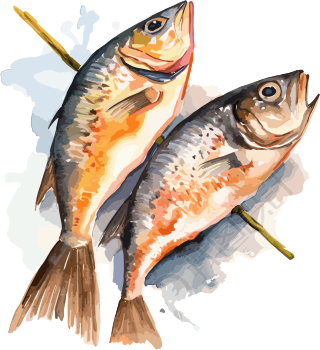 透明背景的两条烤鱼水彩画