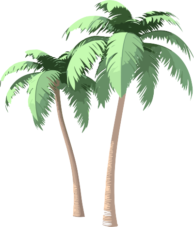 热带棕榈树3D插画