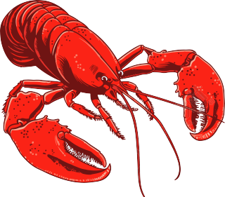 红色大龙虾图案素材