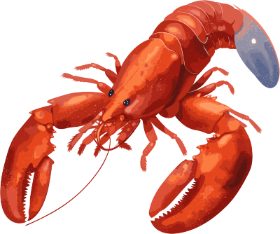 红色背景上的红龙虾插画