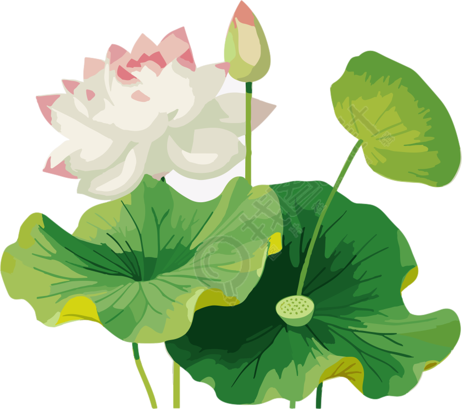 莲花和莲叶元素
