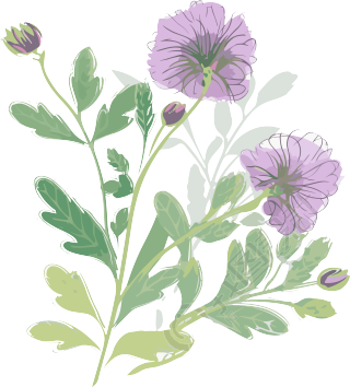 清新紫绿色花朵素材