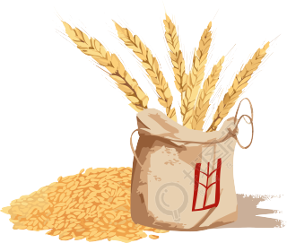 白底扁平插画设计的小麦袋和小麦穗素材