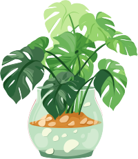 绿植透明背景高清创意设计