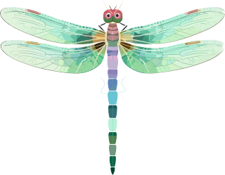 透明背景下的绿色蜻蜓插画