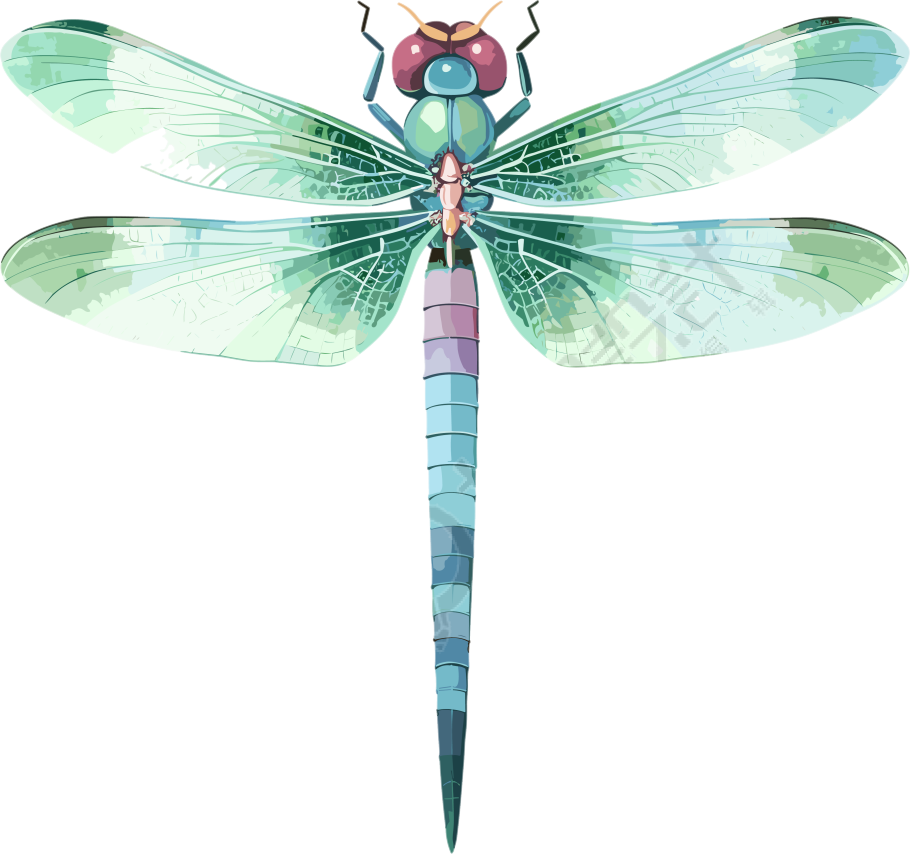 透明背景的蜻蜓粉彩扁平插画