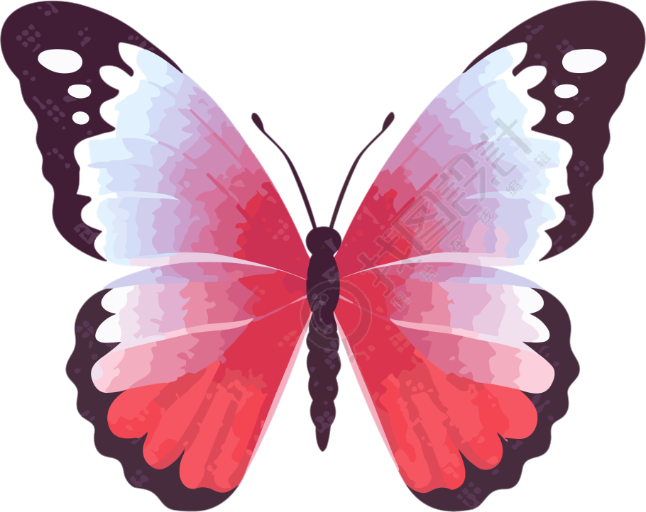 粉色蝴蝶插画图案