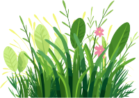 透明背景的矢量草图插画