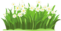 小白花透明背景的矢量插画设计素材
