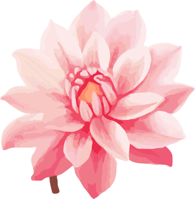 粉色花朵矢量插图