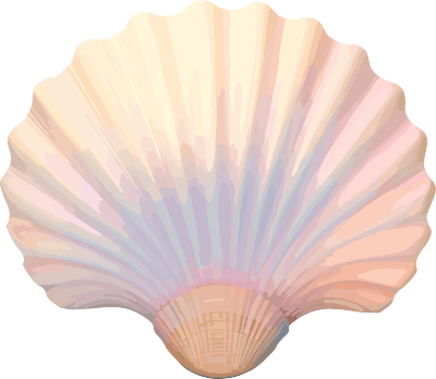 海贝壳图形素材