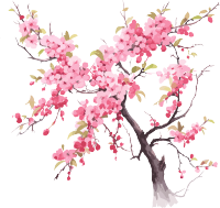 水彩花卉樱花树枝画作