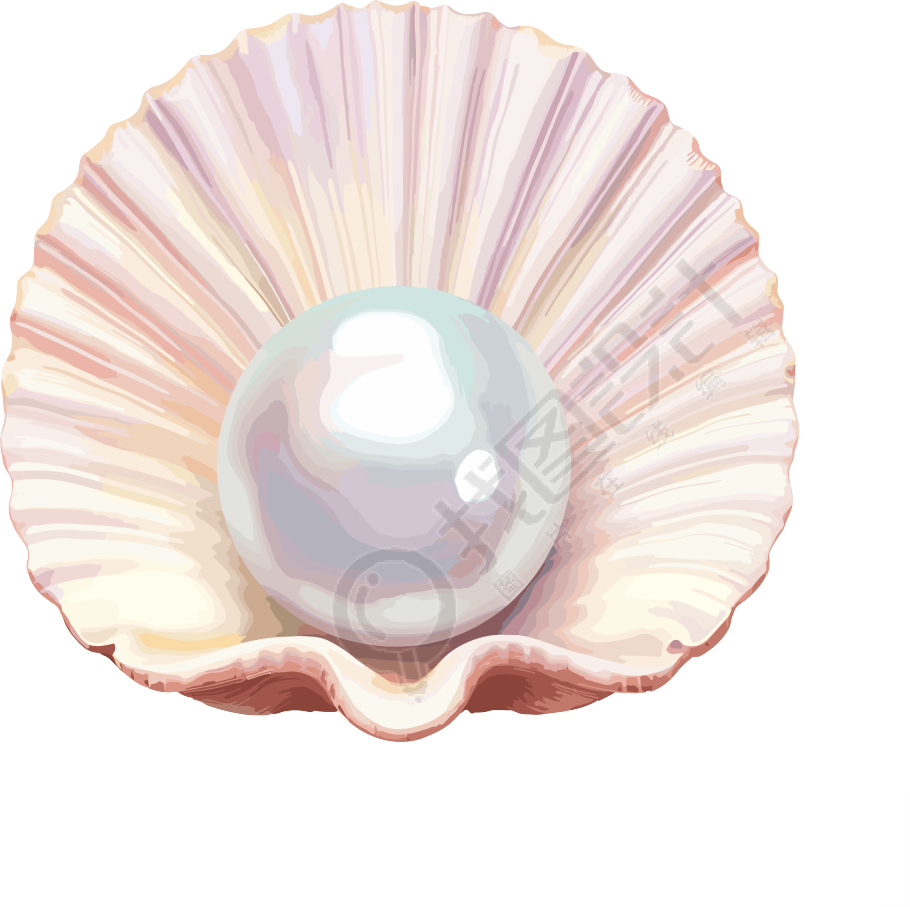 粉彩色调下的贝壳内一颗珍珠插画