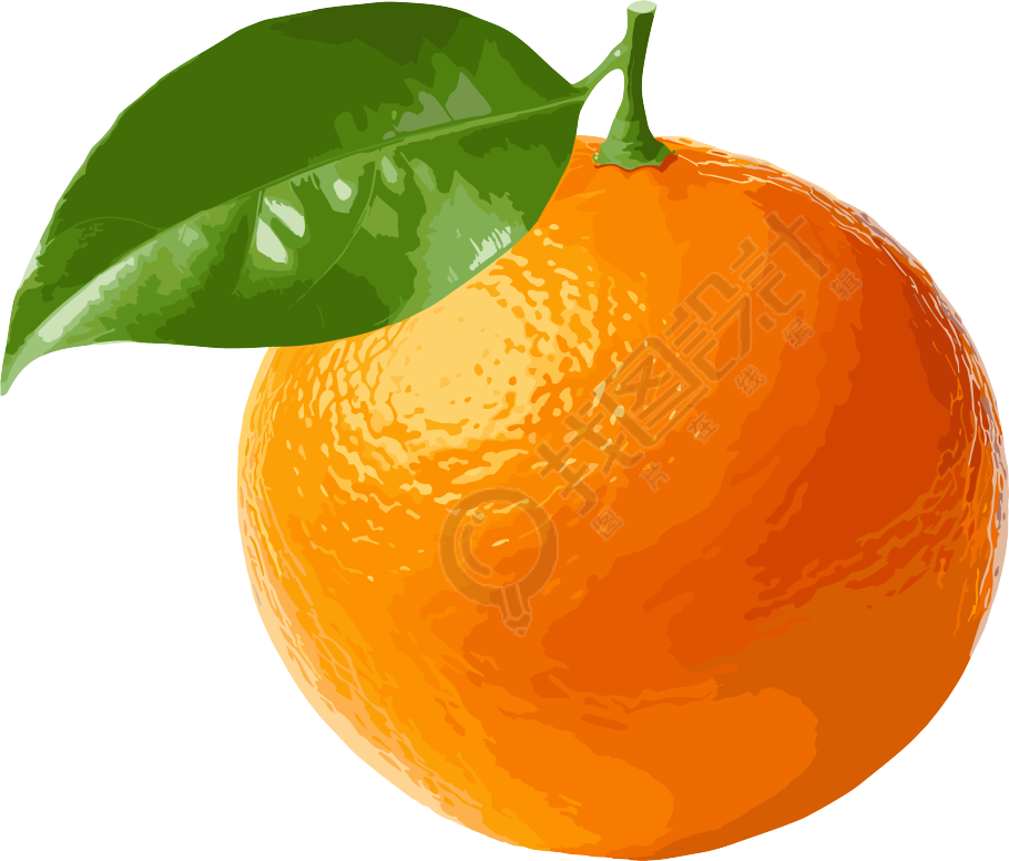 橙子绿叶透明背景PNG素材