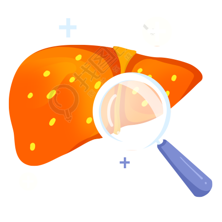 透明背景肝脏炎症放大镜查看素材