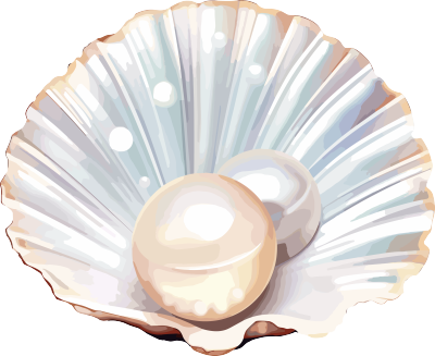丰富象征意义的风格单一贝壳内的珍珠