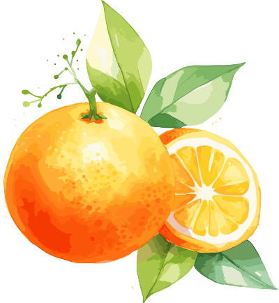 水彩设计橙子与叶子插画