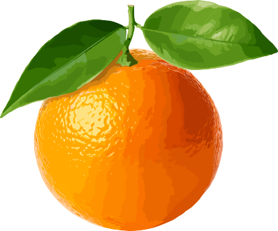 橙子叶子PNG图形素材
