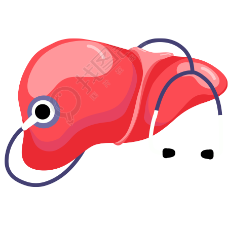 世界肝炎日肝脏插画素材