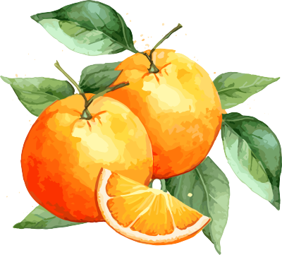 现代欧洲水墨风格下的橙子水果PNG图素材