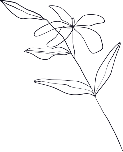 手绘简约线条植物花朵叶片素材