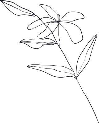 手绘简约线条植物花朵叶片素材