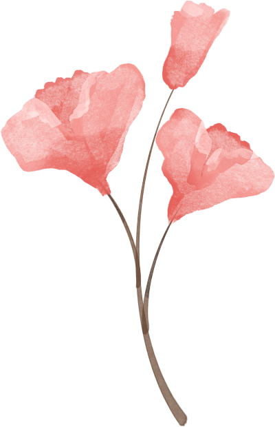 透明背景水彩画三朵红花PNG素材