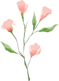 手绘夏日粉色小花商用插画