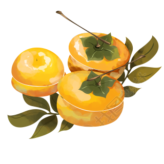 手绘秋天黄橙橙的柿子插画素材