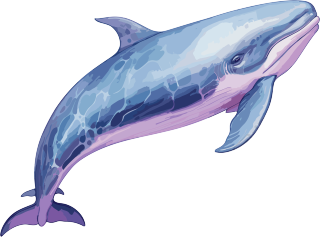 水彩画鲸鱼儿童书插图风格元素