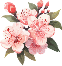 粉色桃花插画设计