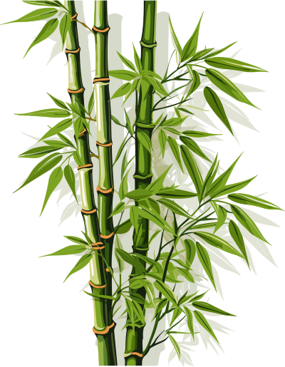 透明背景的绿色竹子高清PNG素材