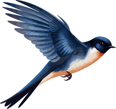 超写实的鸟类研究插画PSD矢量素材免费下载