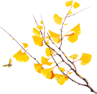 中国水墨风格的黄色叶子图案素材