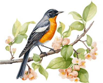 柔和灰黑色风格的橙色鸟栖息在树枝上的水彩画