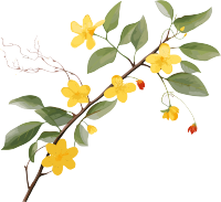 黄花枝丫PNG图形素材