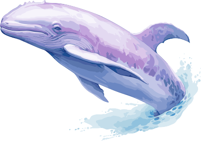 水彩画鲸鱼儿童书插画素材