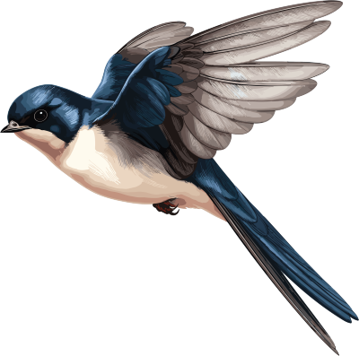 超写实鸟类研究插画PSD矢量素材免费下载