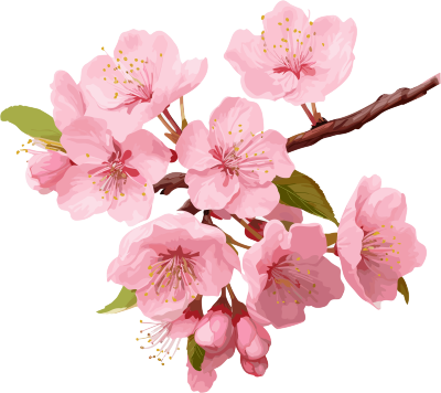 粉色樱花花朵透明PNG图形素材