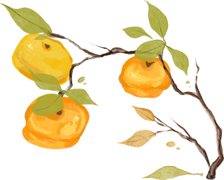 树上的柿子水彩画元素