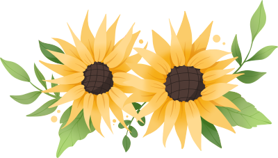 透明背景黄色向日葵插画设计元素