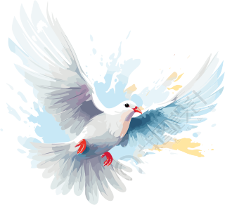 白色背景上飞翔的一对白鸽插画