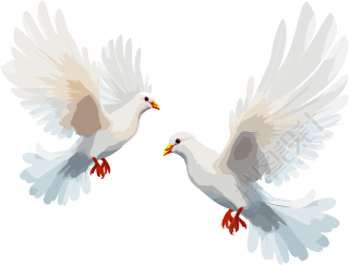 白色背景的彩色动画鸽子图案素材