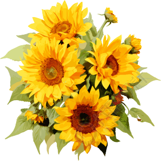 鲜艳的向日葵高清PNG图形素材